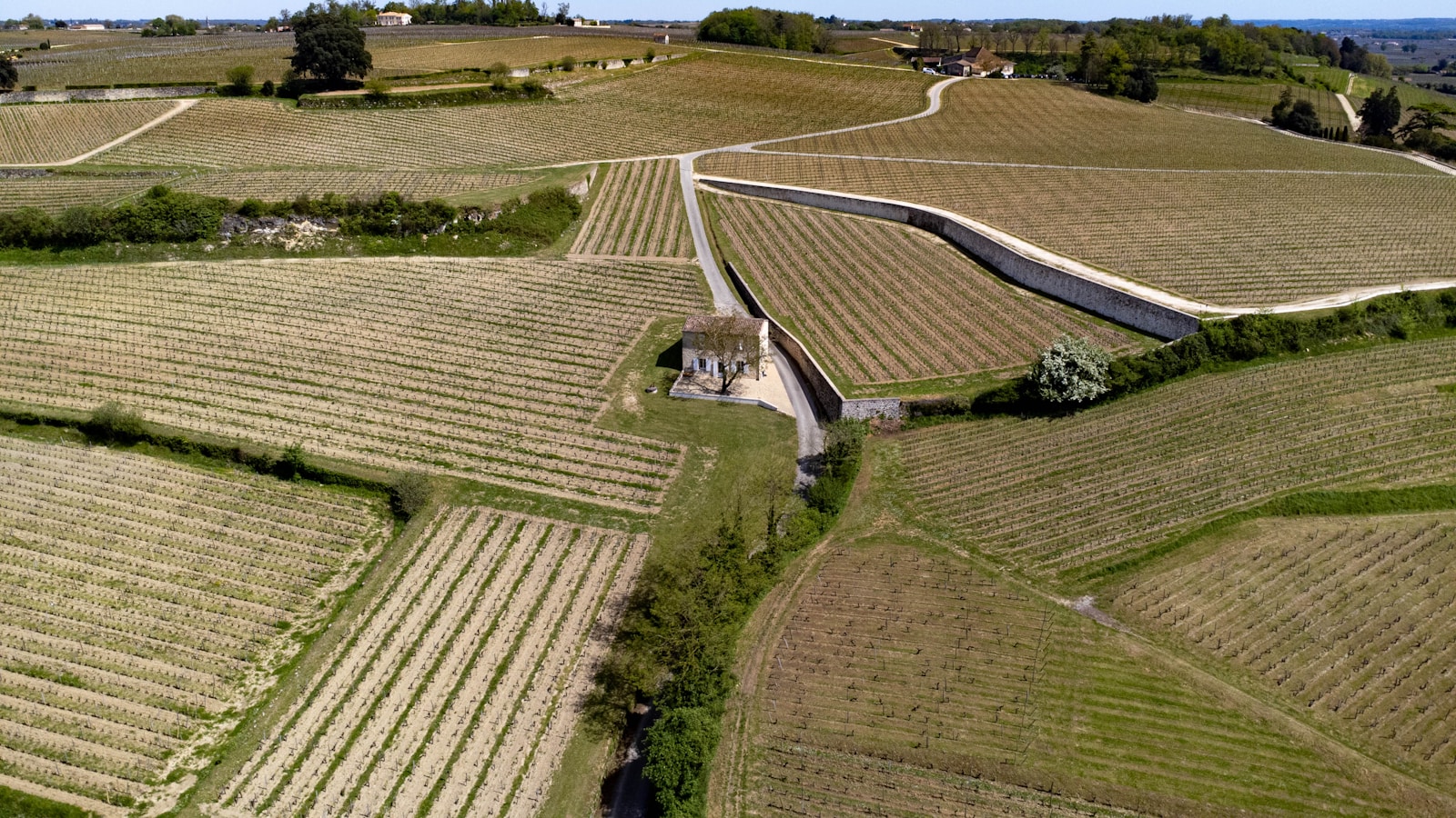 Vignobles de la région bordelaise illustrant l’activité viticole et les échanges commerciaux internationaux