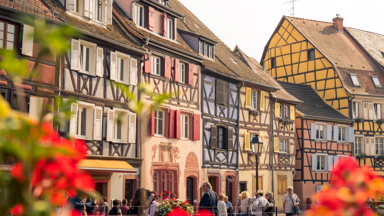 Rue du centre ancien de Colmar illustrant le patrimoine alsacien et l’activité locale