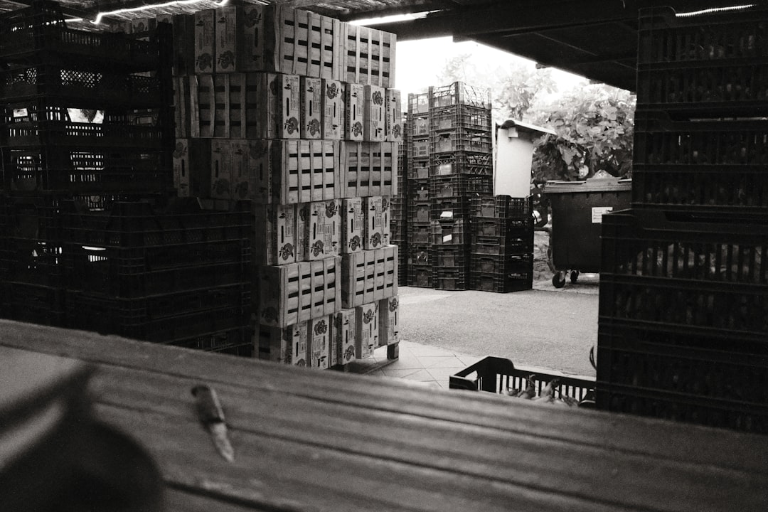 Entrepôt logistique illustrant les échanges agroalimentaires internationaux à Perpignan