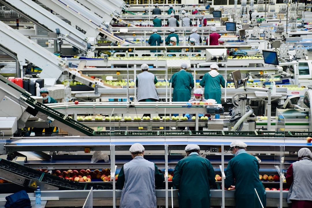 Chaîne de transformation agroalimentaire illustrant les besoins de traduction professionnelle dans l’industrie