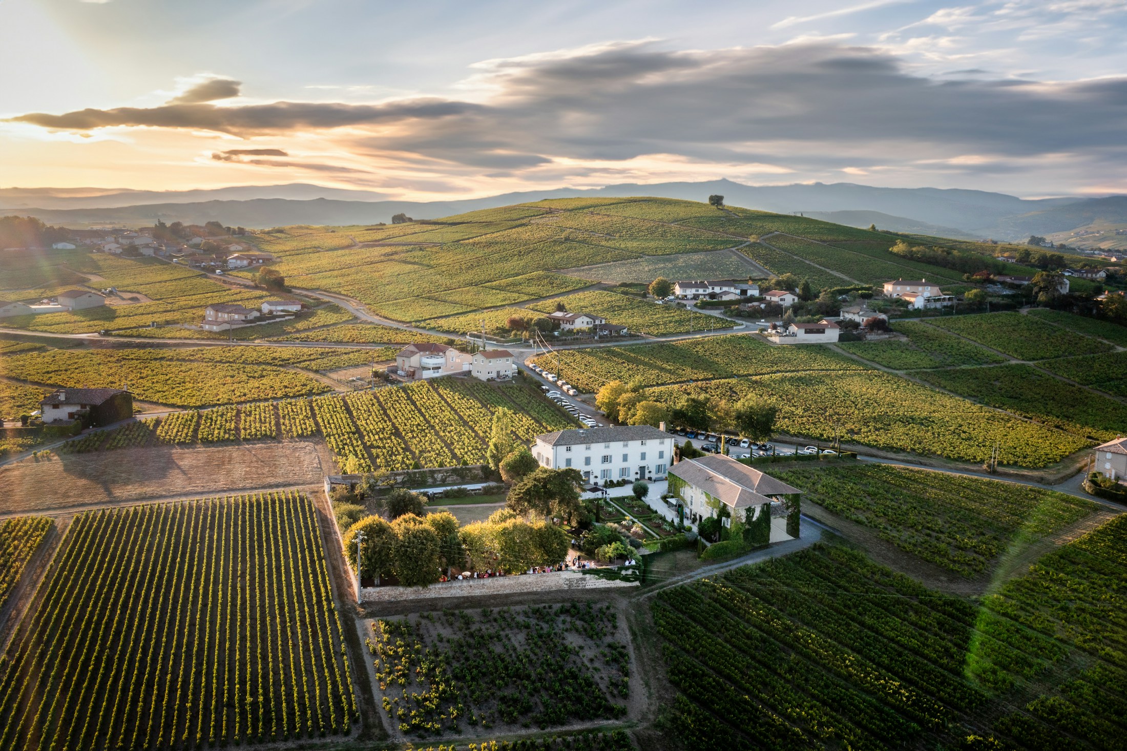 Vignobles du Mâconnais sur les collines autour de Mâcon