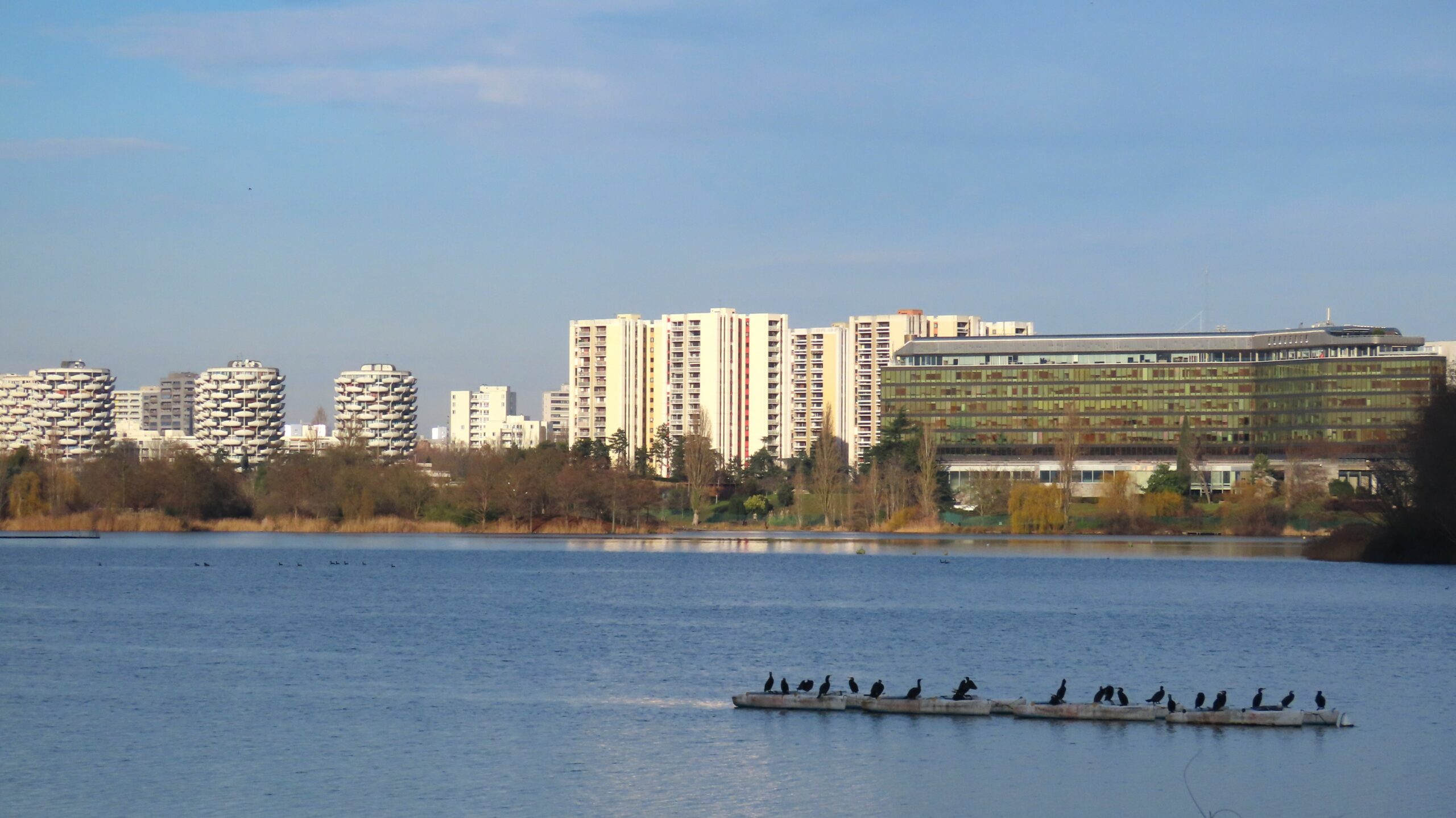 Le lac de Créteil, avec la préfecture du Val-de-Marne sur la rive opposée