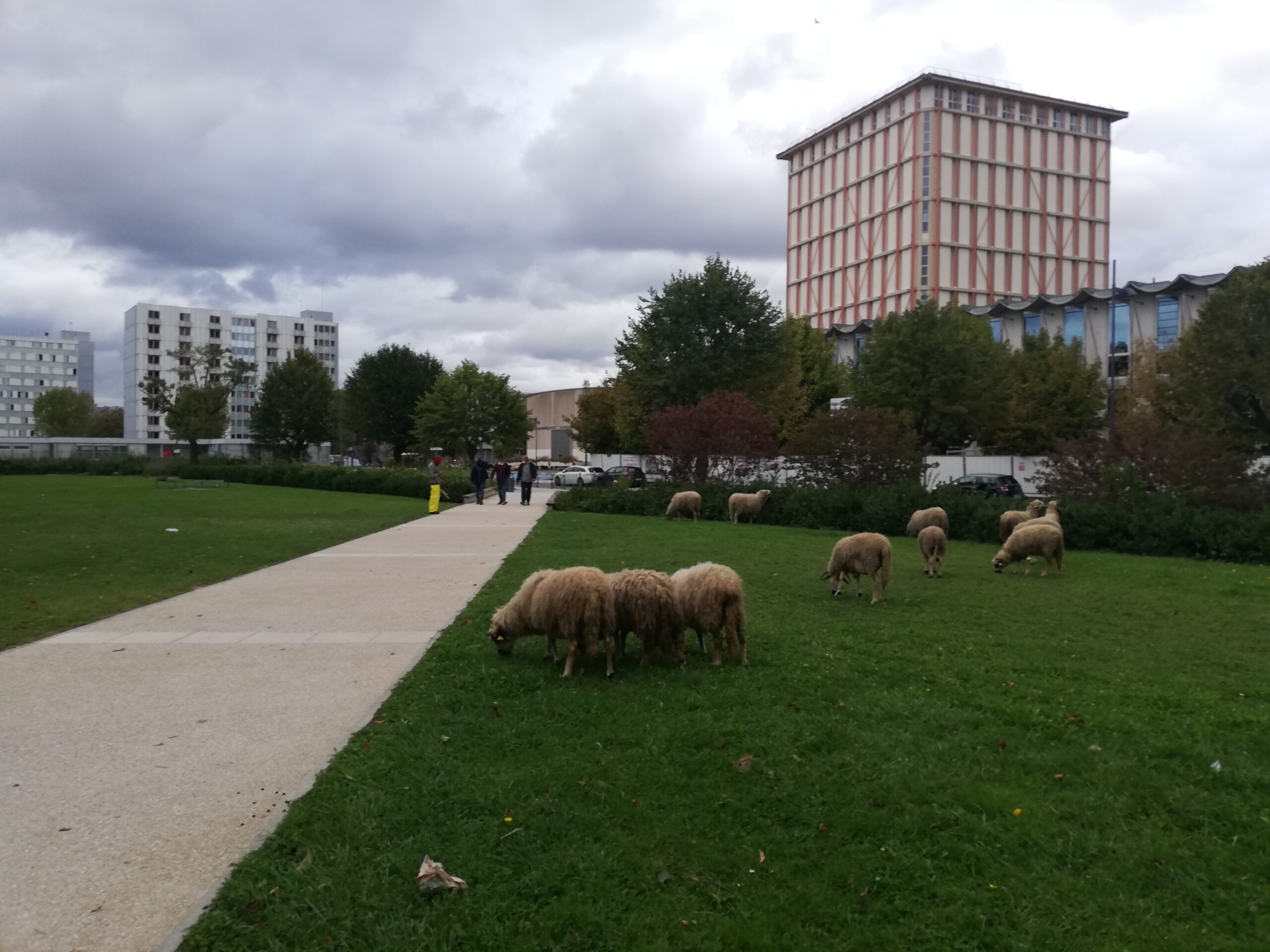 Bâtiments du campus de l’Université Paris Nanterre