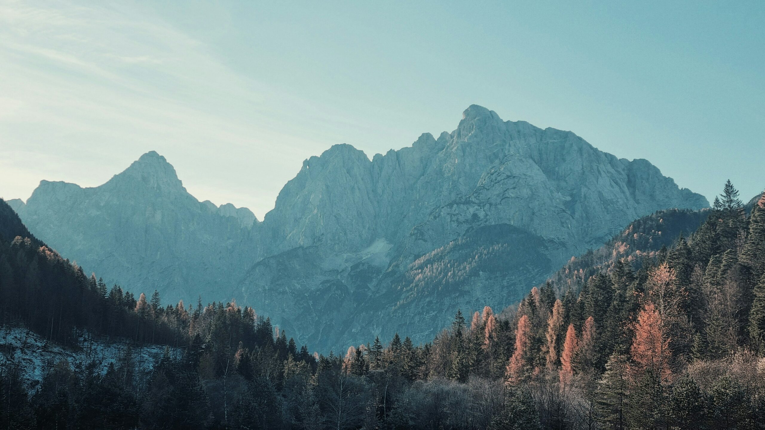 Paysage alpin en Slovénie avec montagnes et forêt