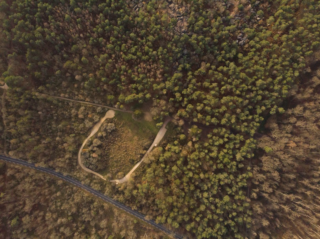 Forêt de Fontainebleau illustrant la diversité du territoire francilien