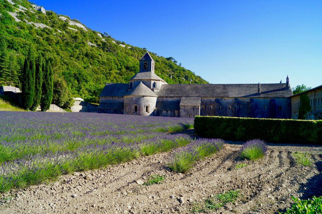 Champ de lavande en Provence illustrant la région Provence-Alpes-Côte d’Azur