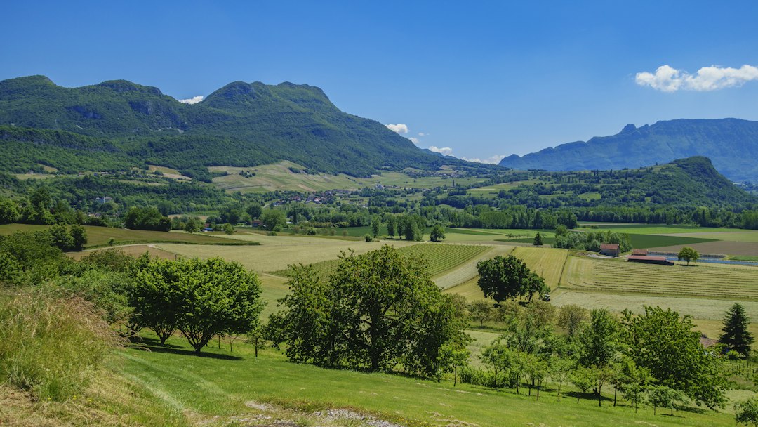 Paysage de la vallée du Rhône illustrant les échanges et services de traduction en Auvergne-Rhône-Alpes