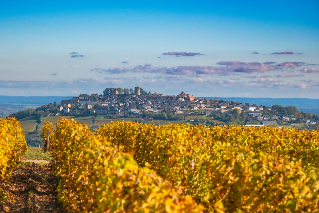 Vignobles de Sancerre en Centre-Val de Loire